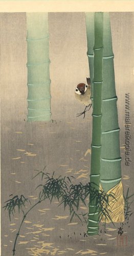 Baum-Spatz und Bambus