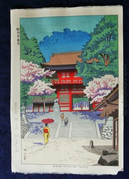 Frühling in Kurama Tempel