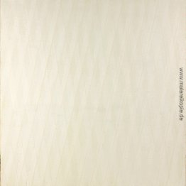 Grille-Color Branc II