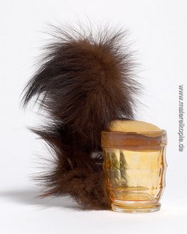 Eichhörnchen