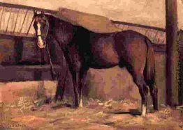 Yerres, Rötlich Bay Pferd im Stall
