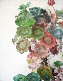 Geranium im Winter Geranium im Winter