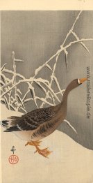 Gans auf dem Schnee Gans auf dem Schnee