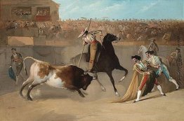 Die Picador