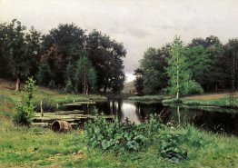 Landschaft mit einem Teich