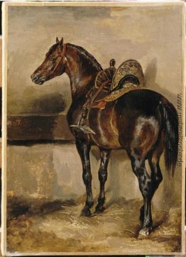 Türkische Pferd in einem Stall