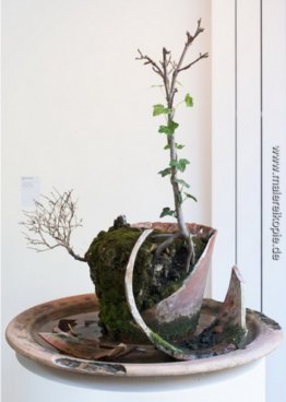 Plante morte de peau