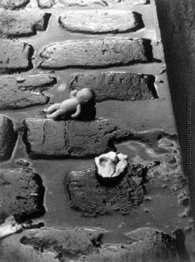 Untitled 8 Untitled 8