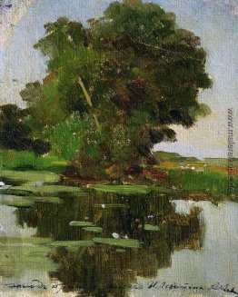 Overgrown Teich