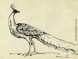 Pfau