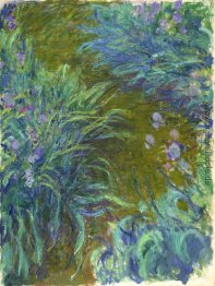 Weg durch die Iris 02 Weg durch die Iris 02