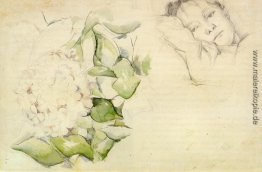 Madame Cezanne mit Hortensias