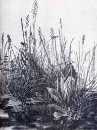 Große Rasenstück Studie von Unkraut Große Rasenstück Studie von Unkraut