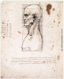 Fehlschlag eines Mannes im Profil mit Messungen und Notizen Fehlschlag eines Mannes im Profil mit Messungen und Notizen