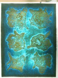 Trockenblumen Trockenblumen