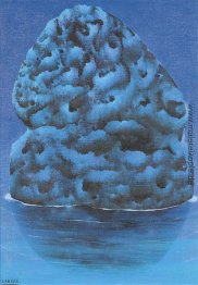 Libidoscaphe Epongeur Libidoscaphe Epongeur