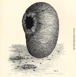 Ohne Titel Ohne Titel