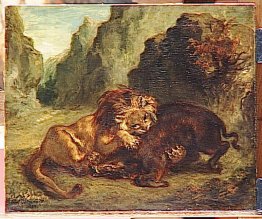 Löwen und Wildschwein