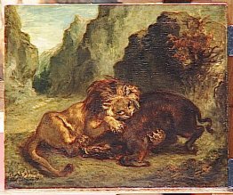 Löwen und Wildschwein