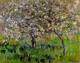 Apfelbäume in der Blüte bei Giverny