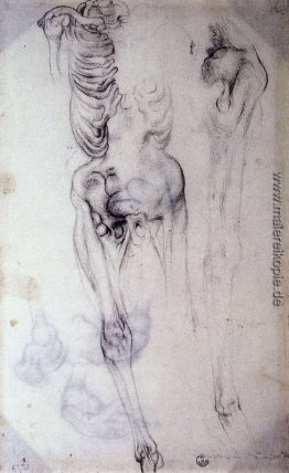 Anatomische Studie
