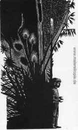 Junge ohne Blumen Junge ohne Blumen