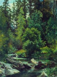 Forest River Forest River