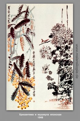 Chrysantheme und Mispel