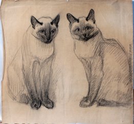 Zwei siamesische Katzen