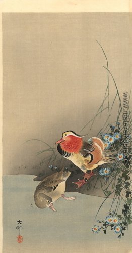 Mandarinen-Enten