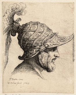 Helm gekreuzt mit gebogenen Streifen und Rosetten