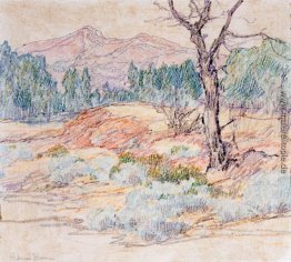 Landschaft mit Baum