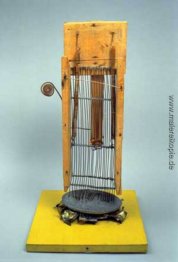 Magie à la noix Magie à la noix