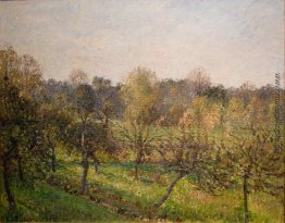 Wald in Abend Wald in Abend