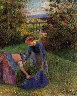 Frauen Beisammensein Gras Frauen Beisammensein Gras