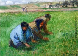 Unkrautstecher Unkrautstecher