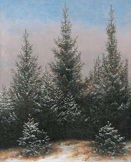 Tannenbäume im Schnee Tannenbäume im Schnee
