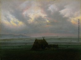 Nebel Nebel