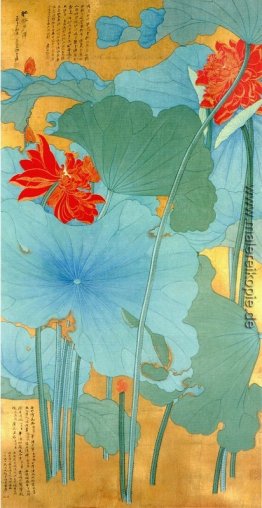 Lotus Lotus