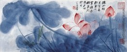 Lotus Lotus