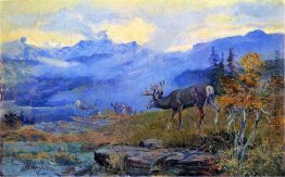 Deer Grazing Deer Grazing