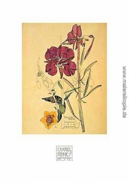 Blumen Blumen