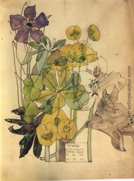 Wolfsmilch Mit Yham 1909 Wolfsmilch Mit Yham 1909