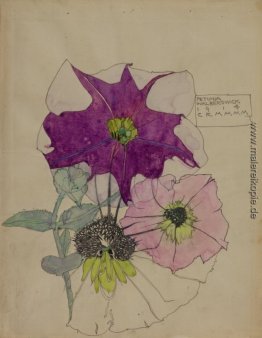 Petunia, Walberswick Petunia, Walberswick