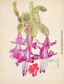 Cactus Flower Cactus Flower