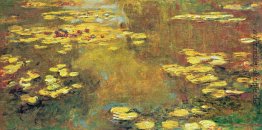 Wasserlilien Wasserlilien