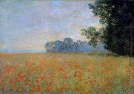 Hafer und Mohnblumen-Feld Hafer und Mohnblumen-Feld
