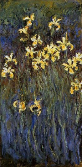 Die gelbe Iris Die gelbe Iris