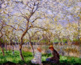 Springtime Springtime