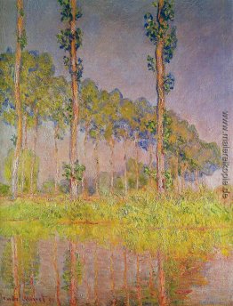 Drei Bäume im Frühjahr Drei Bäume im Frühjahr